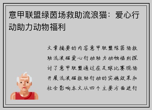 意甲联盟绿茵场救助流浪猫：爱心行动助力动物福利